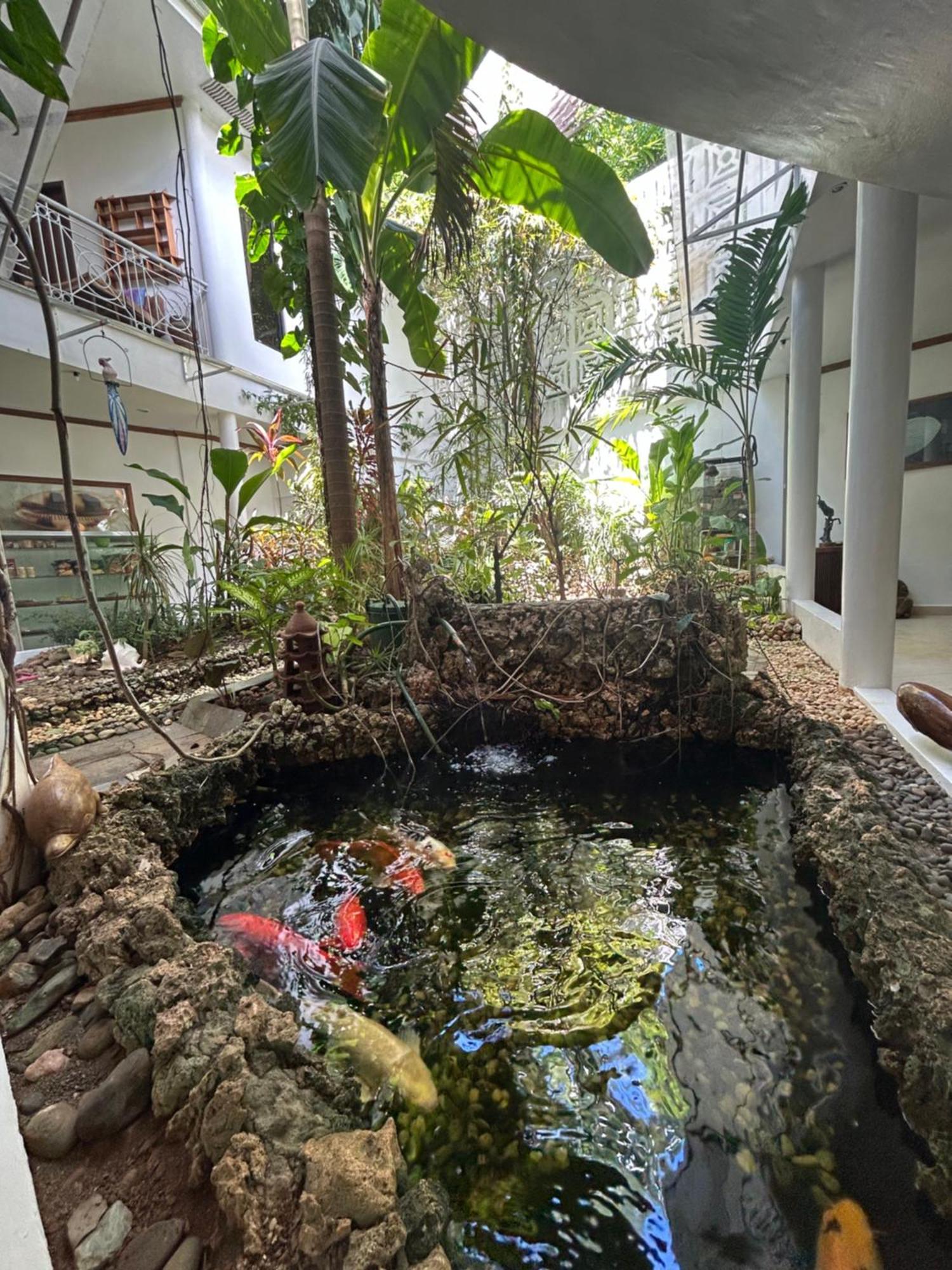 Boracay Island Argonauta Boracay Apartment Suites And Villas מראה חיצוני תמונה